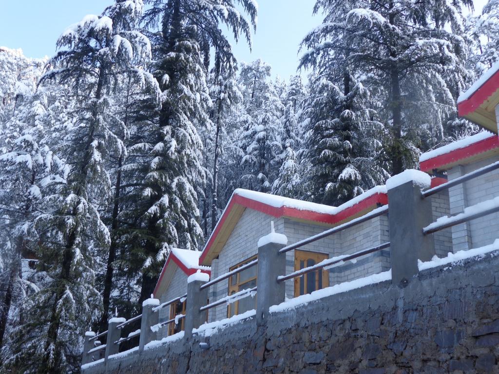 Village Live In Resort Chail Buitenkant foto